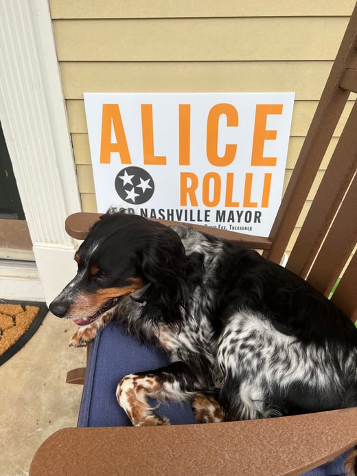 dog days of campaigning